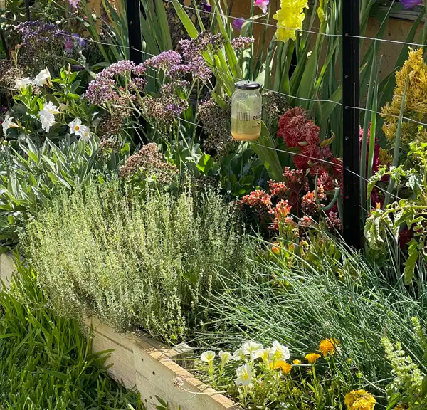 SUSTAINABILITY-gardens-herbs-flowers
